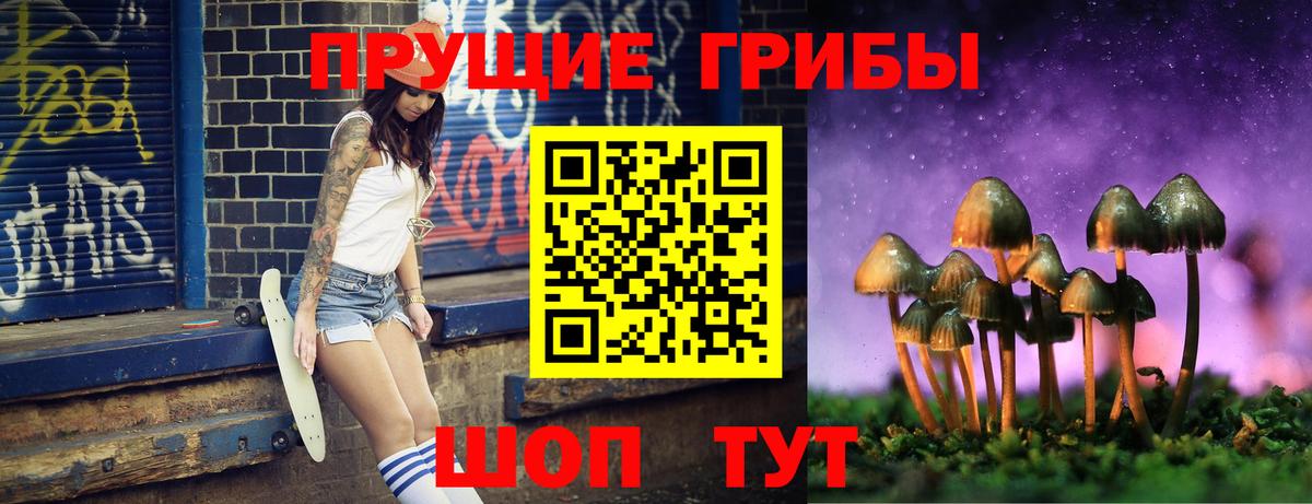 Галлюциногенные грибы Magic Shrooms Заинск