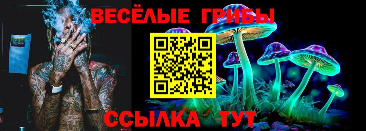 Галлюциногенные грибы GOLDEN TEACHER  Вход с VPN  Галлюциногенные грибы ЛСД  Заинск 
